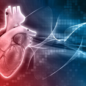 5 невероятных фактов о человеческом сердце